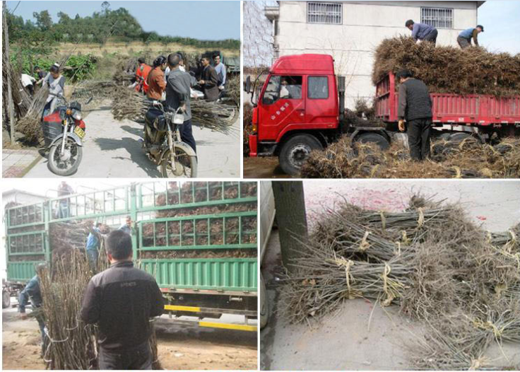 賠償圖片/賠償樣板圖 (3)