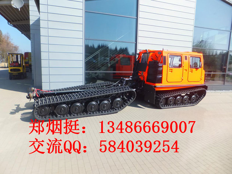 供應(yīng)雪地高速履帶車履帶式水陸兩棲車，履帶式水陸兩棲車價(jià)格