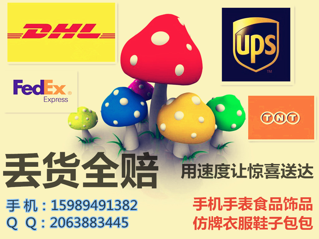 国际快递/DHL/UPS/FEDEX/EMS/专线/美国英国德国法国瑞典瑞士图片