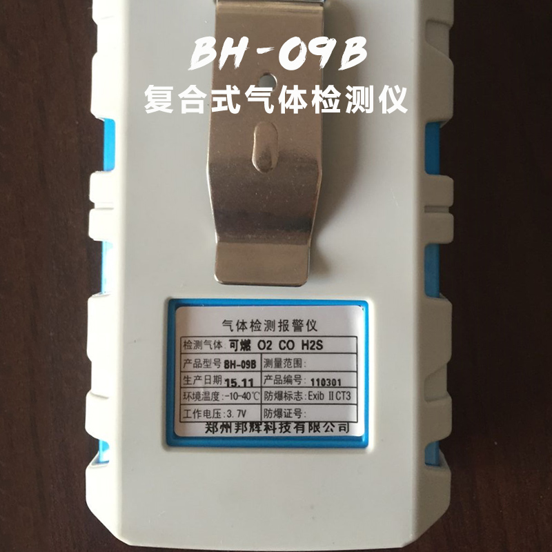 復(fù)合式氣體檢測儀圖片/復(fù)合式氣體檢測儀樣板圖 (2)