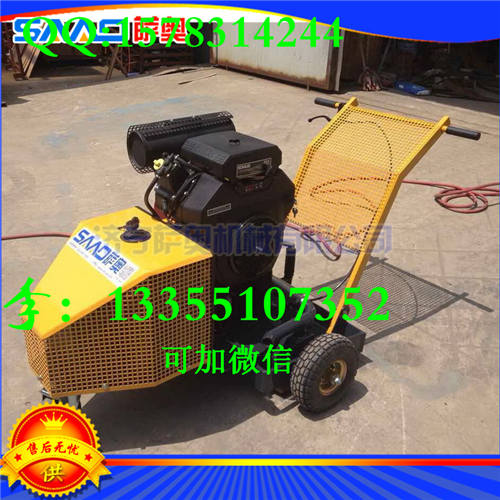 路面裂縫圖片/路面裂縫樣板圖 (1)