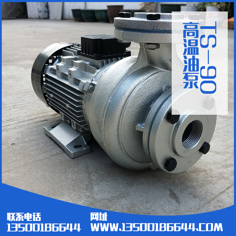 TS-90油泵生產(chǎn)廠家批發(fā)圖片/TS-90油泵生產(chǎn)廠家批發(fā)樣板圖 (3)