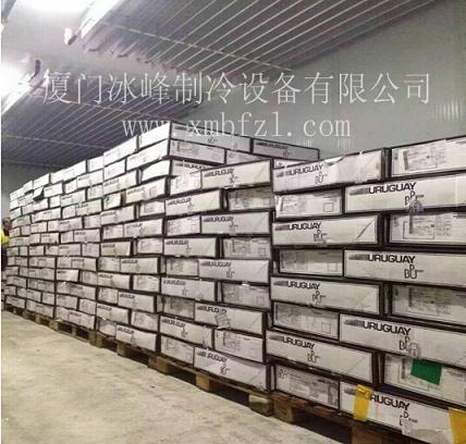 廈門冷庫 廈門凍庫 廈門冷庫制作圖片/廈門冷庫 廈門凍庫 廈門冷庫制作樣板圖 (2)