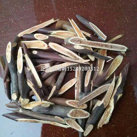 皂角刺飲片圖片/皂角刺飲片樣板圖 (2)