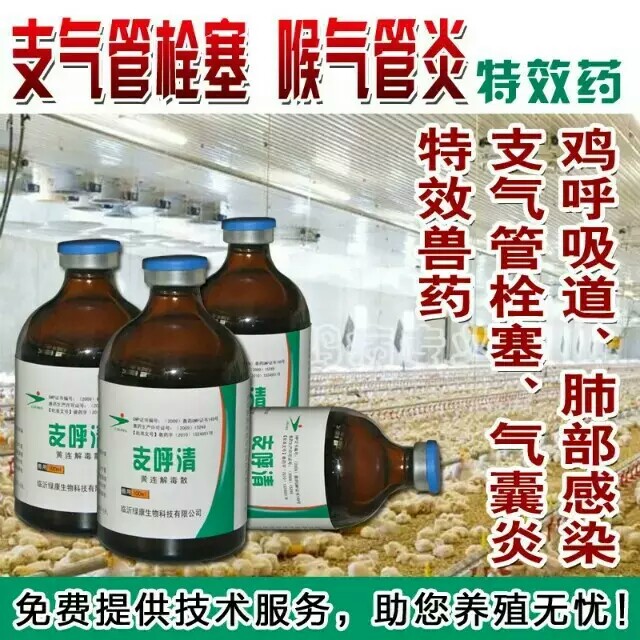 供应支气管堵塞特效药——支呼清