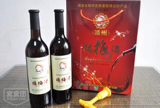 供应自酿靖州杨梅酒 自酿靖州杨梅酒价格 自酿靖州杨梅酒哪家好 纯手工自制杨梅酒