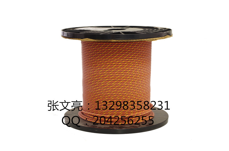 感應(yīng)線圖片/感應(yīng)線樣板圖 (2)