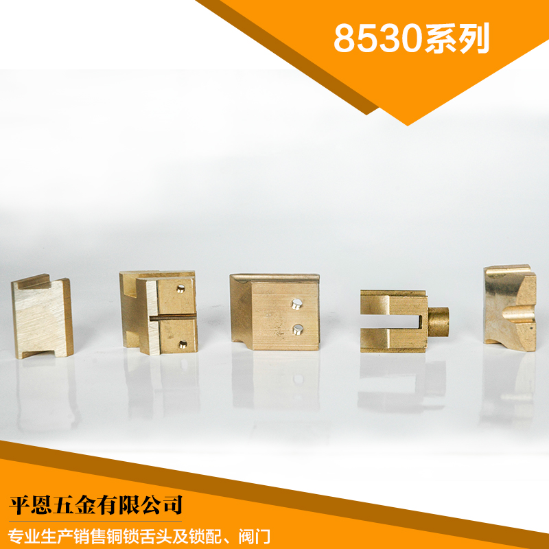 【廠家供應(yīng)】鎖具配件 8530系列鎖具配件 溫州配鎖值得信賴