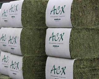 供應用于的進口苜蓿草,低成本*，可提高