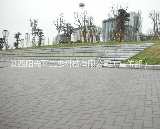 透水磚圖片/透水磚樣板圖 (4)