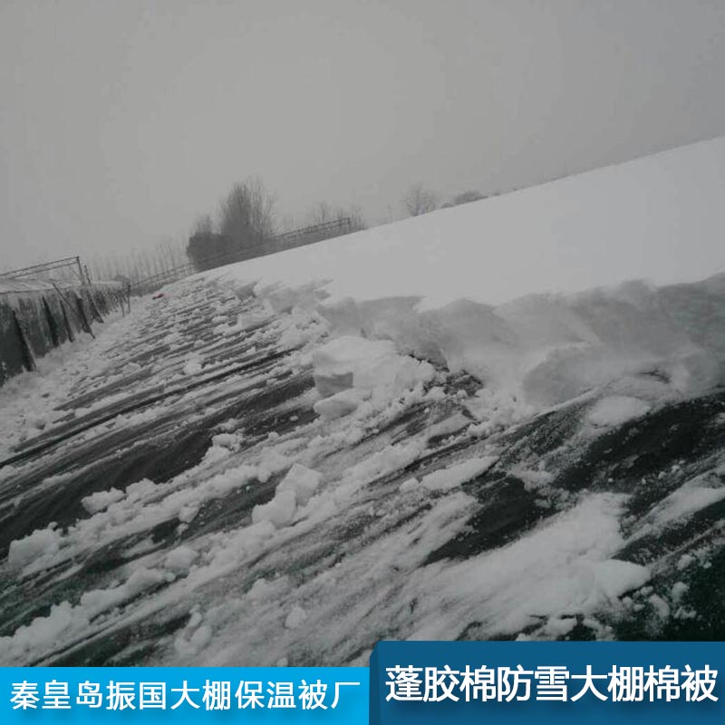 蓬胶棉防雪大棚棉被图片