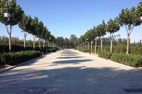 靜園圖片/靜園樣板圖 (4)