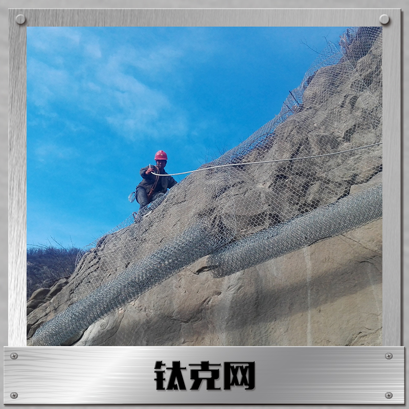 鈦克網(wǎng)圖片/鈦克網(wǎng)樣板圖 (1)