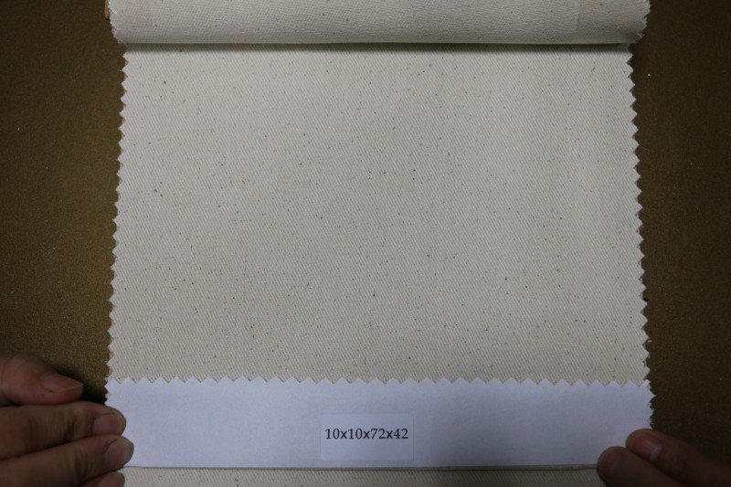 坯布10*10*72*42圖片/坯布10*10*72*42樣板圖 (1)