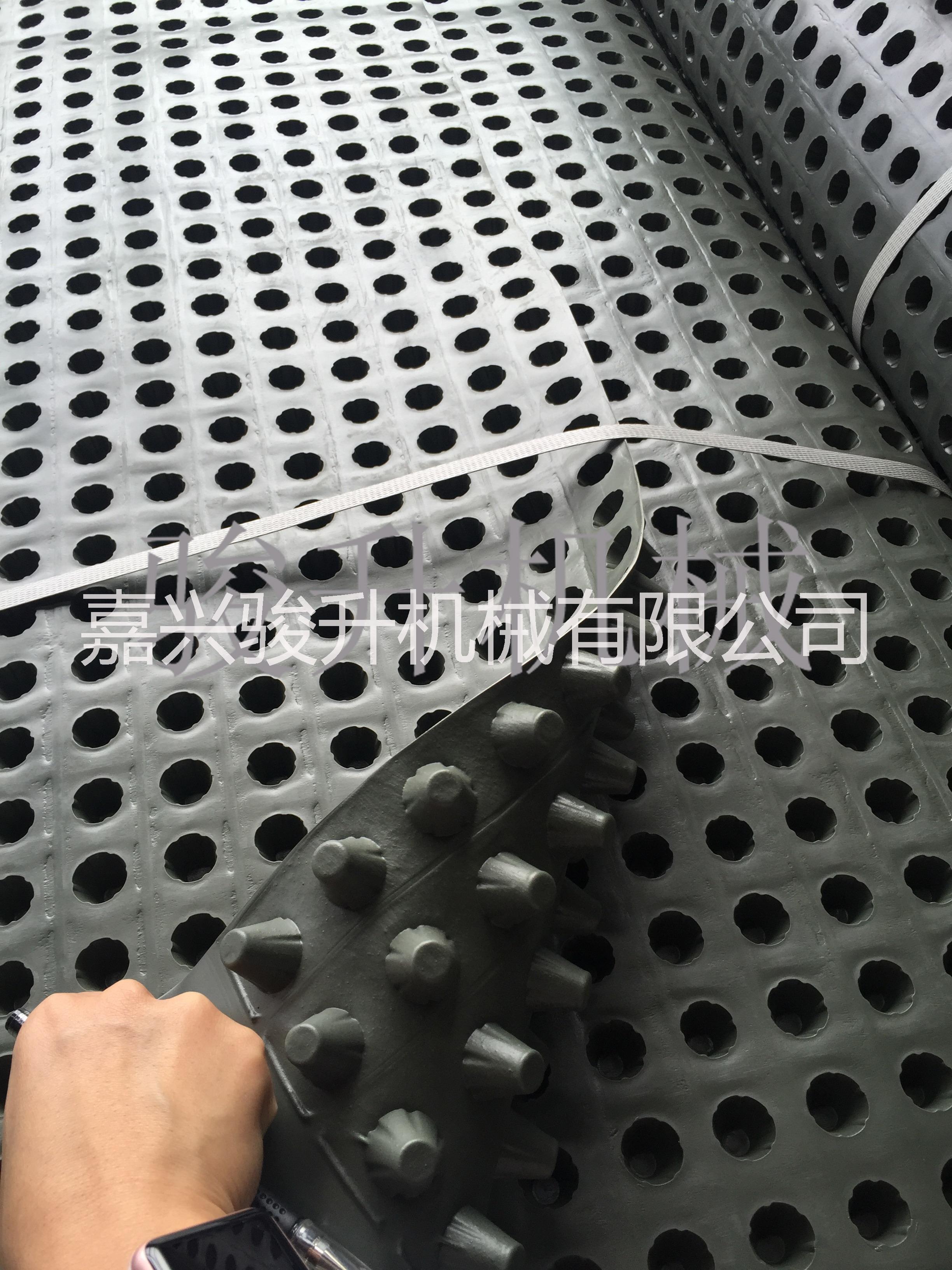 土工網(wǎng)生產(chǎn)圖片/土工網(wǎng)生產(chǎn)樣板圖 (4)