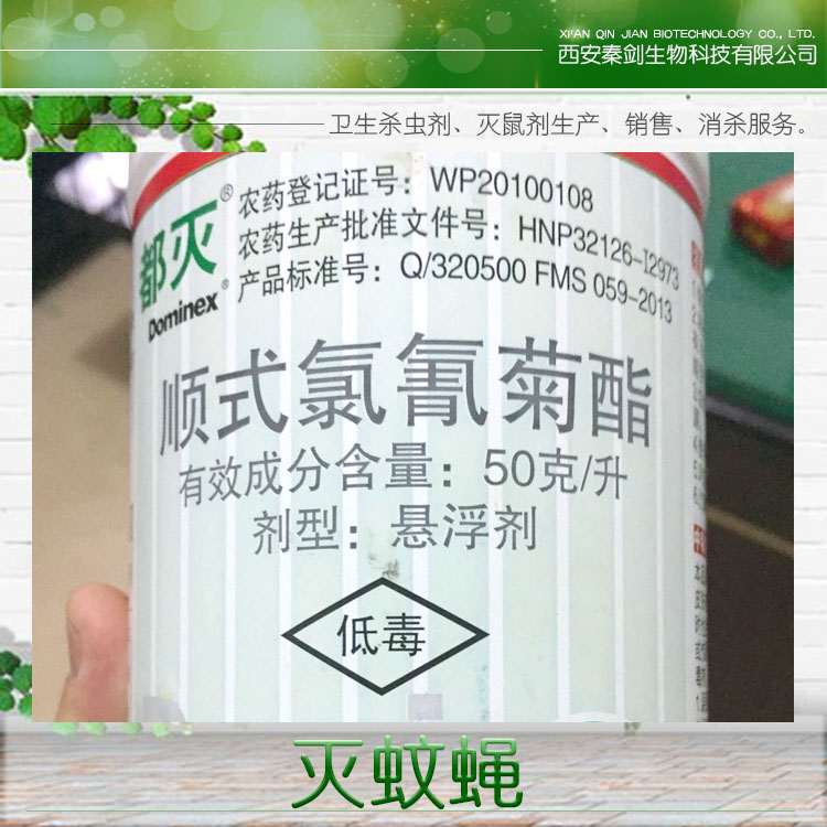 滅蚊蠅圖片/滅蚊蠅樣板圖 (1)