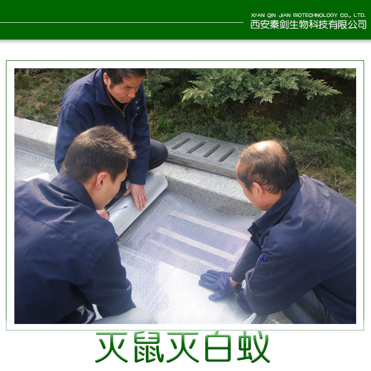 滅鼠圖片/滅鼠樣板圖 (3)