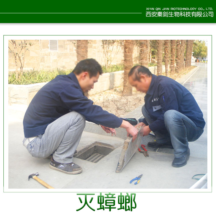 用于家庭|滅蟑螂的家庭滅蟑螂、老鼠、螞蟻，西安除蟲，滅四害