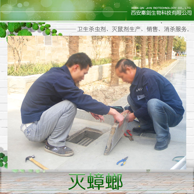 滅蟑螂圖片/滅蟑螂樣板圖 (2)