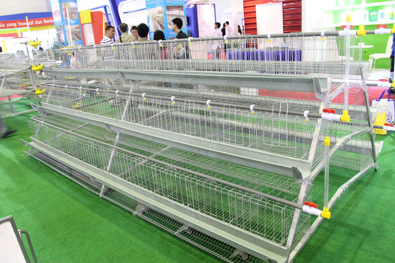 方圓出售的新型育雛一體籠圖片