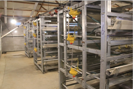 方圓銷(xiāo)售的韓國(guó)進(jìn)口自動(dòng)撿蛋機(jī)圖片