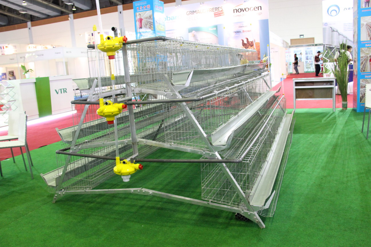 蛋雞籠圖片/蛋雞籠樣板圖 (2)