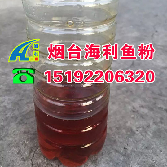 魚油圖片/魚油樣板圖 (1)