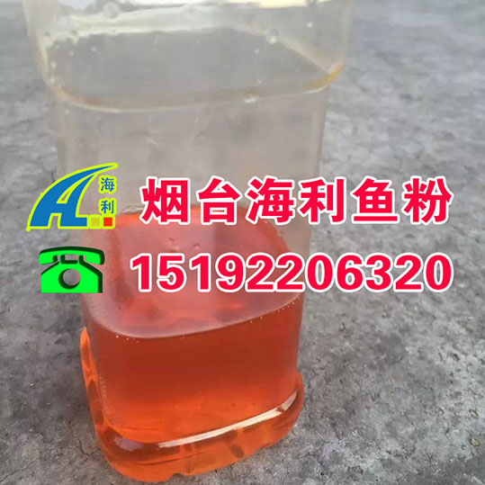 魚油圖片/魚油樣板圖 (2)