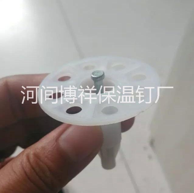 保溫釘圖片/保溫釘樣板圖 (4)