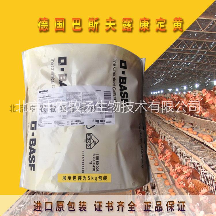 露康定黃【BSF002】銷(xiāo)售