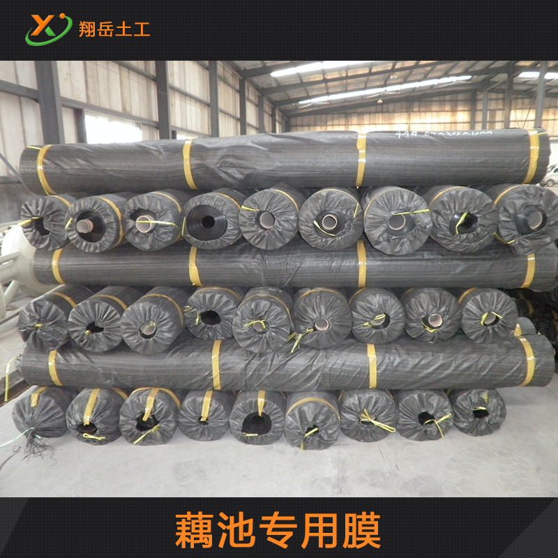 藕池專用膜圖片/藕池專用膜樣板圖 (4)