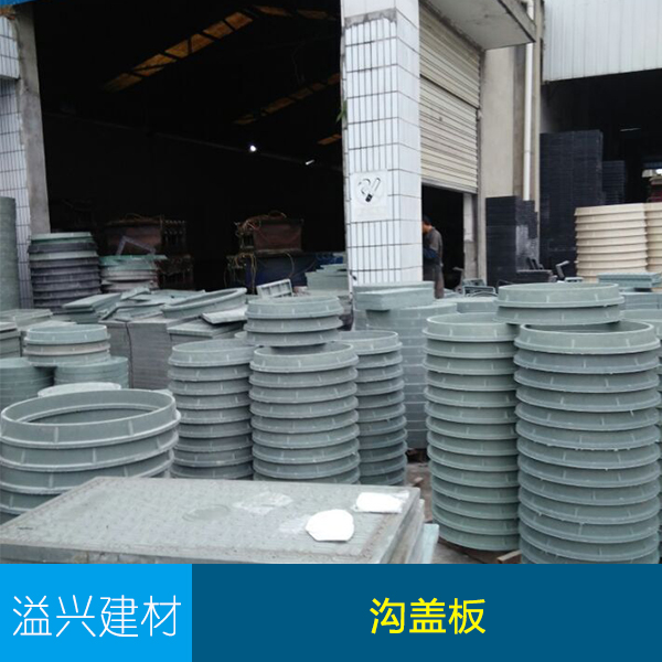 宜賓溝蓋板圖片/宜賓溝蓋板樣板圖 (4)