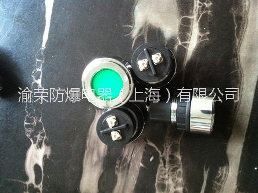 上海渝榮8018防爆信號(hào)燈參數(shù)圖片/上海渝榮8018防爆信號(hào)燈參數(shù)樣板圖 (4)