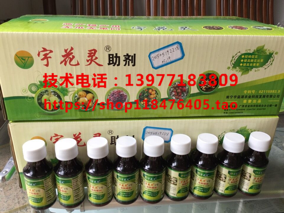 當(dāng)前龍眼出紅葉怎么辦？圖片/當(dāng)前龍眼出紅葉怎么辦？樣板圖 (3)