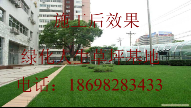 遼寧草坪圖片/遼寧草坪樣板圖 (1)