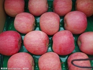 紅富士蘋果圖片/紅富士蘋果樣板圖 (3)