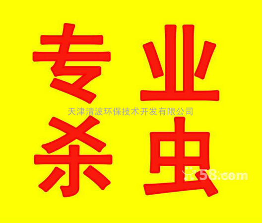 滅蟑螂公司圖片/滅蟑螂公司樣板圖 (1)