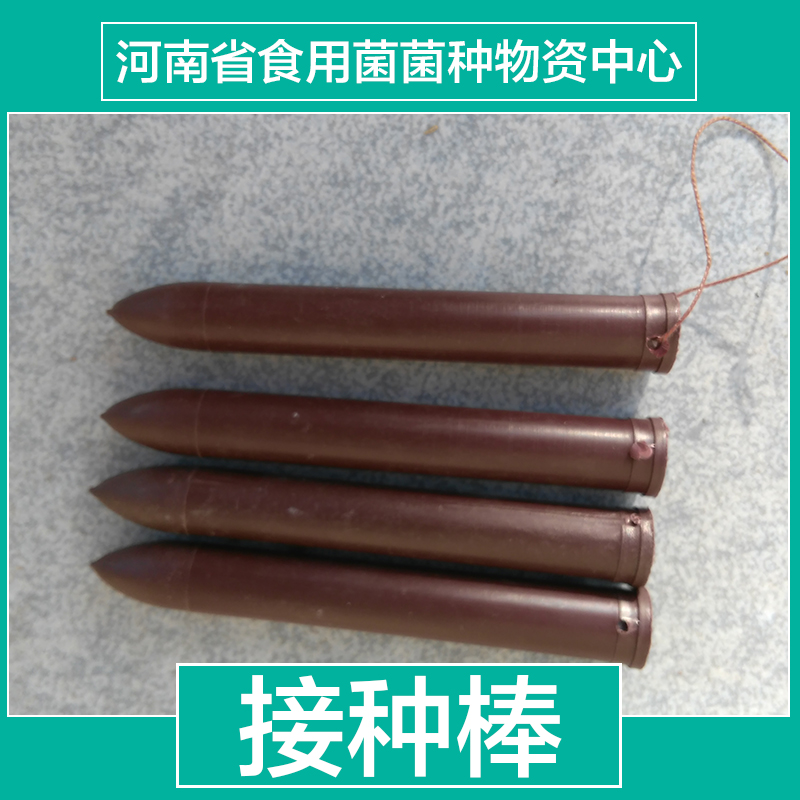 30公分接種棒批發(fā)圖片/30公分接種棒批發(fā)樣板圖 (3)