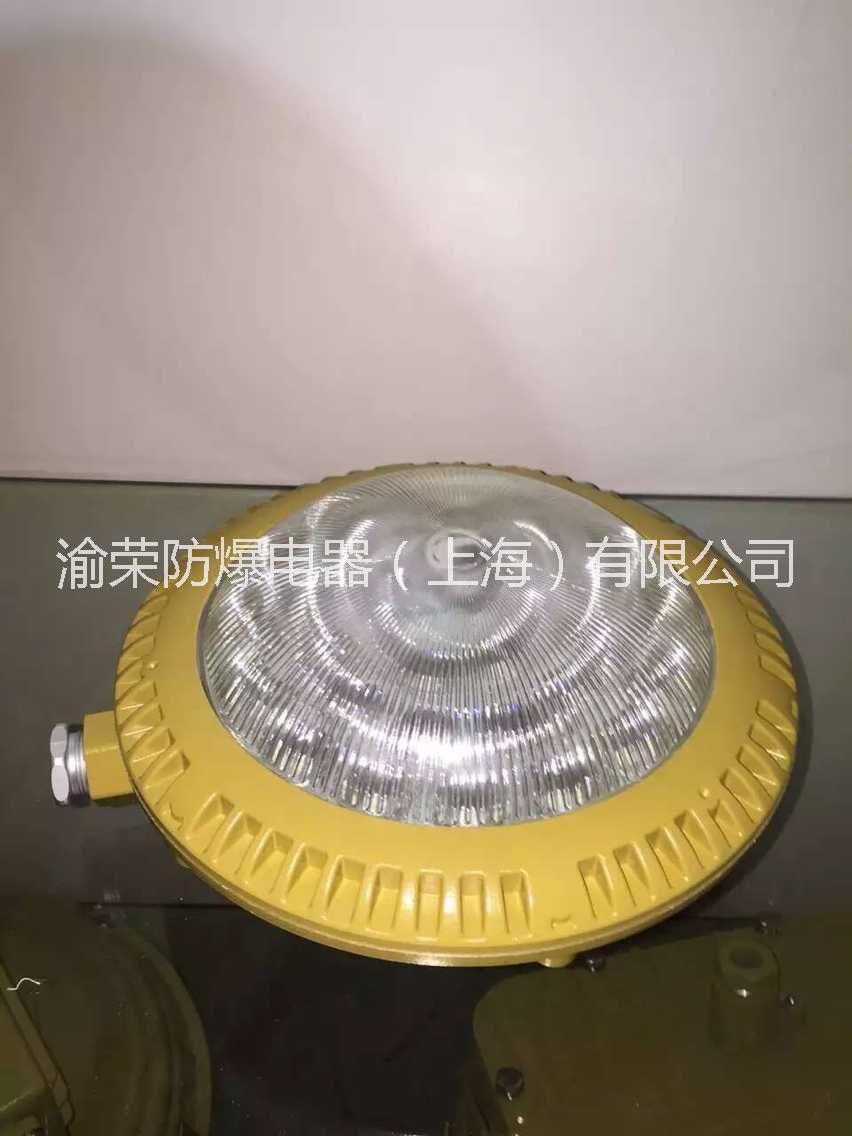 LED防爆燈圖片/LED防爆燈樣板圖 (1)