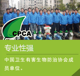 滄州專業(yè)除蟲除蟻,滅鼠滅蟑螂公司圖片/滄州專業(yè)除蟲除蟻,滅鼠滅蟑螂公司樣板圖 (1)