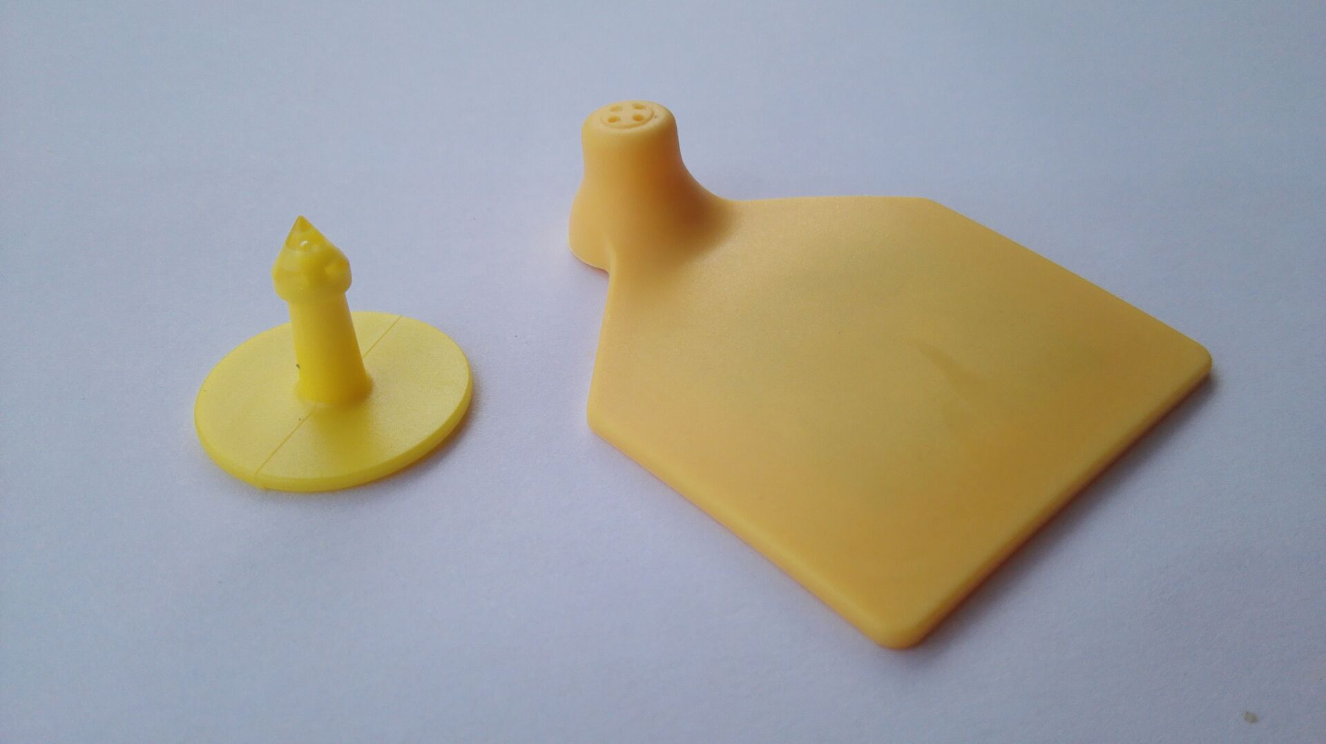 電子耳標(biāo)圖片/電子耳標(biāo)樣板圖 (2)