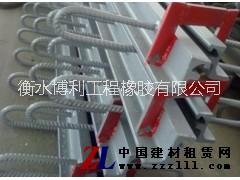 GQF80伸縮縫圖片