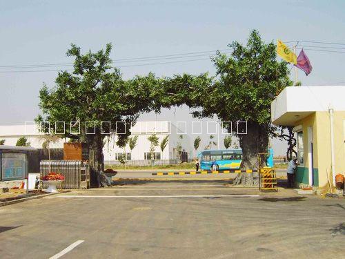 水泥假樹圖片/水泥假樹樣板圖 (4)