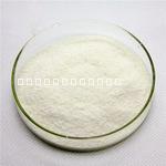 山東濱州廠家供應(yīng)飼料小麥蛋白飼料