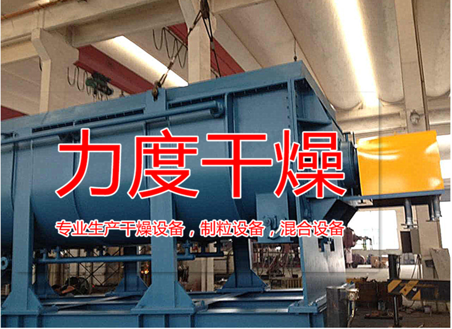 雙槳葉干燥機(jī)圖片/雙槳葉干燥機(jī)樣板圖 (2)