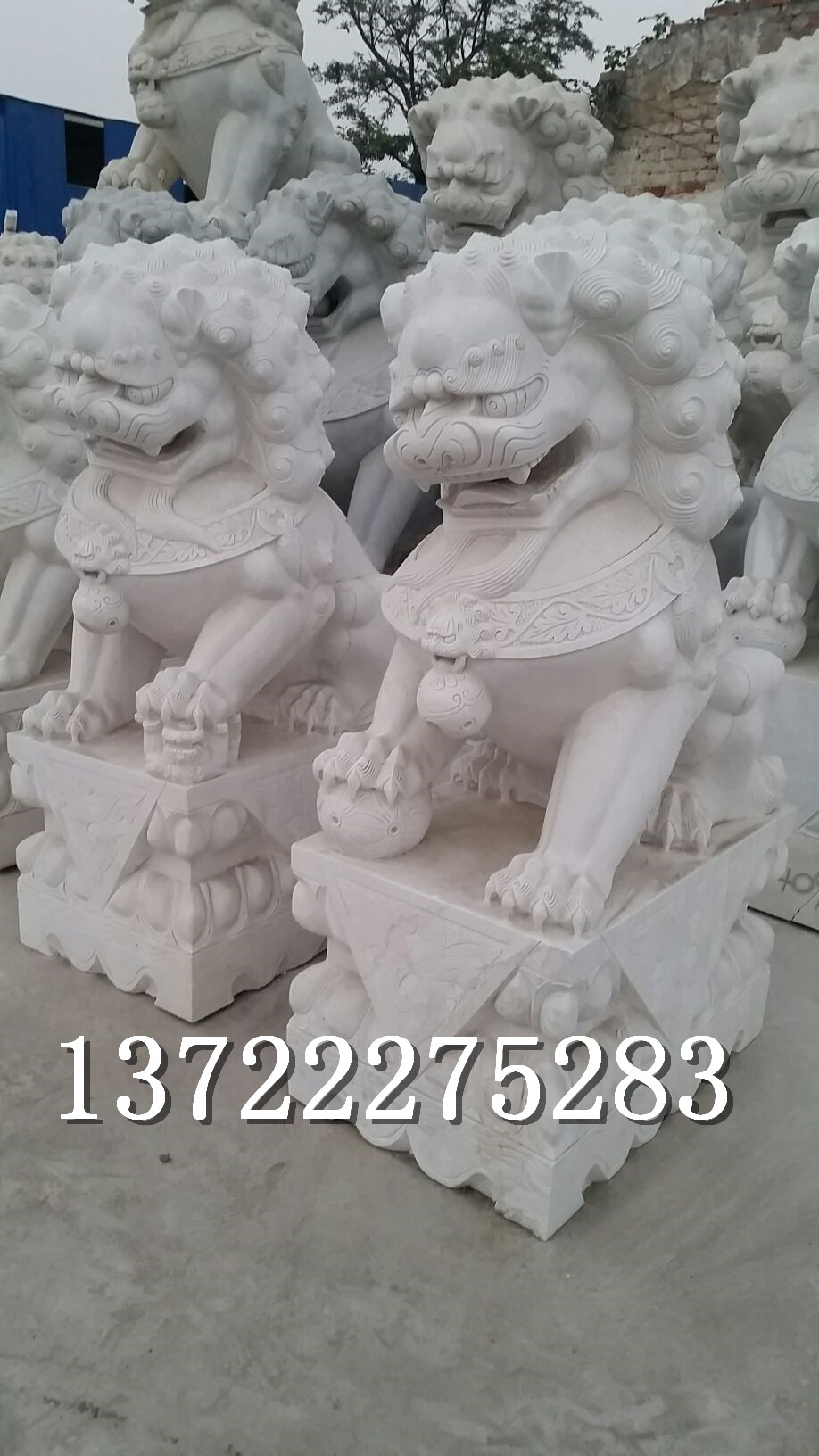 青石石獅子圖片/青石石獅子樣板圖 (2)