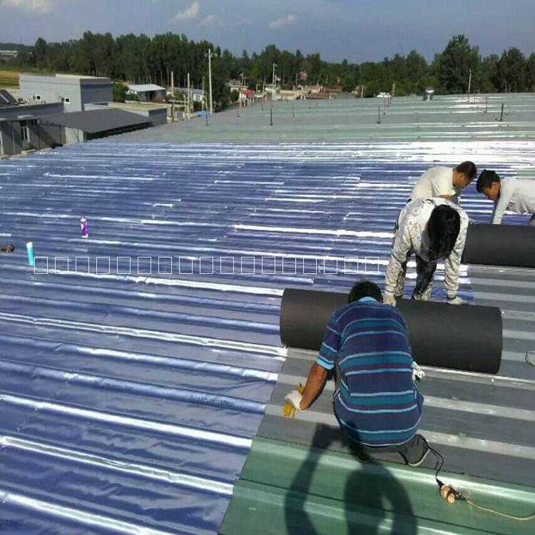 金屬反光隔熱防水毯圖片/金屬反光隔熱防水毯樣板圖 (2)