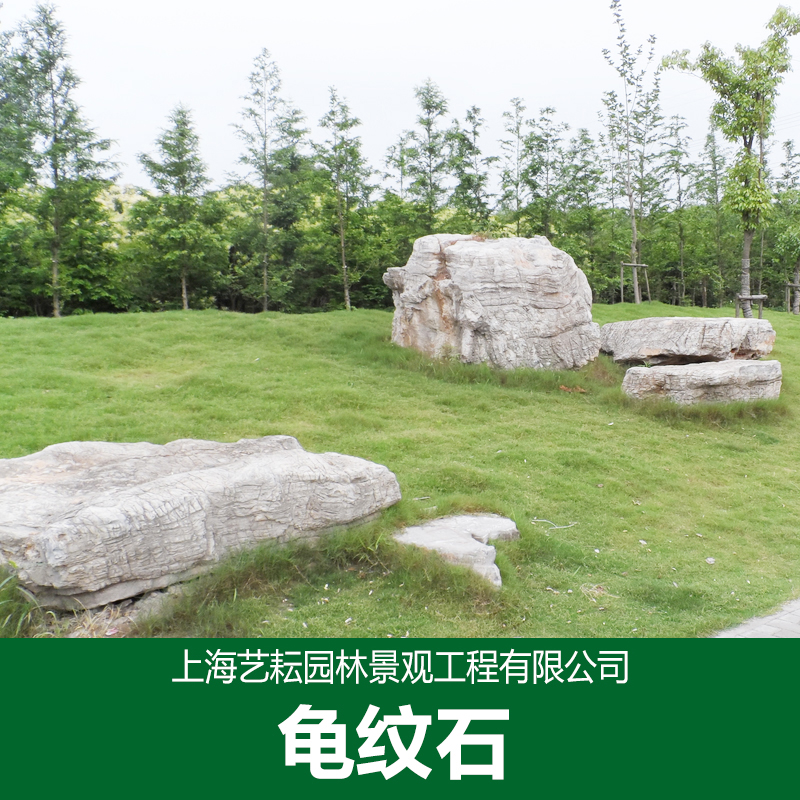 龜紋石圖片/龜紋石樣板圖 (4)