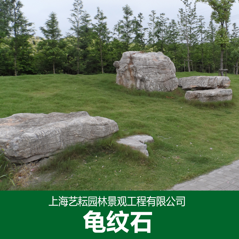 龜紋石圖片/龜紋石樣板圖 (2)