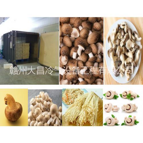 果蔬真空預(yù)冷保鮮機(jī)生產(chǎn)廠家圖片/果蔬真空預(yù)冷保鮮機(jī)生產(chǎn)廠家樣板圖 (2)